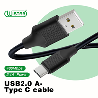 Kabel USB A ke Tipe C 1m Hitam untuk Ponsel, Pabrik WISTAR, Laris Manis, OEM ODM