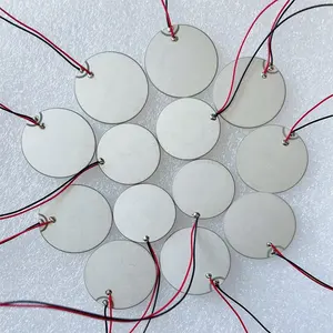 Material Pzt4 Pzt5 Pzt8 Sensor Getaran UltrasonicPzt Piezo 5Mm Cakram Keramik Piezoelektrik