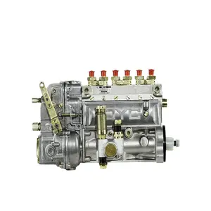 02232465 Fuel Injection Pump for DEUTZ F6L913 Engine