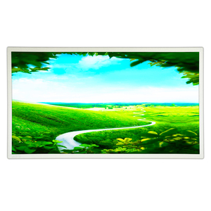 High Quality 18.5 Inch TFT LCD Module Display Panel <b>Custom</b> Size IPS LCD Screen for Industrial / Medical / Automotive - Product Image 1