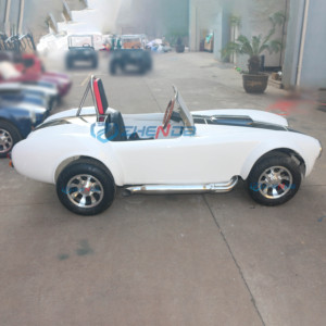 Varietà di <span class=keywords><strong>Auto</strong></span> Classiche e Sportive Utilizzabili come Oggetti di Scena per Stazioni, Fotografia, Guida e Film. Personalizza il Tuo Disegno - Product Image 6