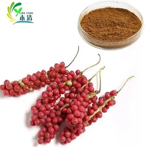 Natural Organic Schisandra Chinensis Berry <strong>Extract</strong> Powder Schisandra <strong>Extract</strong> 3% Schisandrins B - Product Image 3