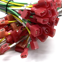Kabel Harness Multi-warna Kustom dengan Terminal Spade Berinsulasi Merah untuk Sambungan Kabel Internal Peralatan Rumah Tangga