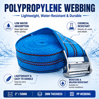 Sangle d'arrimage durable de 2 pouces avec boucle à came en alliage de zinc et sangle en PP pour la sécurisation des marchandises, certifiée ISO 9001
