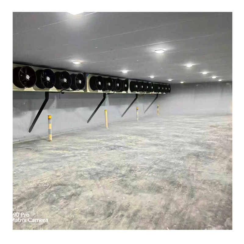 Ultra long Fresh Storage Controlled Atmosphere