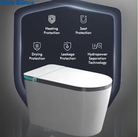 Olife Banos Chaozhou Articles sanitaires Offre Spéciale automatiques Bol en céramique Noir Salle de bain Wc Intelligent Smart Bidet Toilette