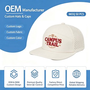 Gorra Snapback Personalizable de Algodón 100% Estilo Sencillo y Elegante, de Alta Calidad para Adultos, Hip Hop, Impermeable, Transpirable, Deportiva, para las Cuatro Estaciones - Product Image 1