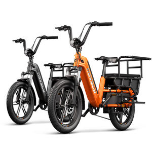 Nouveau Vélo Cargo 2025 Charge Utile 200 kg Moteur 750W, Batterie Lithium 48V, Écran LCD, Port de Charge USB, Réflecteurs Arrière - Product Image 1