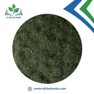 High Quality <strong>Herbs</strong> and Spices Dried Green Color <strong>Dill</strong> Organic <strong>Dill</strong> Natural Dried <strong>Herb</strong> Products <strong>Dill</strong> - Product Image 5
