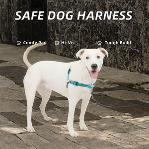 <span class=keywords><strong>Deluxe</strong></span> hewan peliharaan aman nilon pelatihan anjing <span class=keywords><strong>Harness</strong></span> bantalan nyaman reflektif untuk visibilitas cahaya rendah pola cetak bulu - Product Image 2