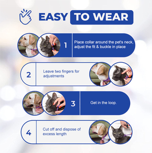 <span class=keywords><strong>Collar</strong></span> <span class=keywords><strong>Antipulgas</strong></span> y Garrapatas Natural, Duradero, Ajustable e Impermeable <span class=keywords><strong>para</strong></span> <span class=keywords><strong>Perros</strong></span> - Product Image 5