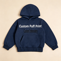 Sweat-shirt à capuche pour garçons en coton doux et confortable, avec logo personnalisé, impression en relief personnalisée et choix multicolores, vente en gros