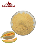 Poudre de jus de melon Hami en gros, poudre de fruit de cantaloup, poudre de melon à 99%