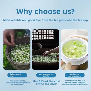 Té Verde <span class=keywords><strong>Chino</strong></span> de Jazmín en Perlas, Crudo a Granel con Aroma a Jazmín - Product Image 3