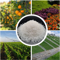 Polymère super absorbant SAP Méthode de mélange du sol conçue pour l'agriculture et la conservation de l'eau dans le sol