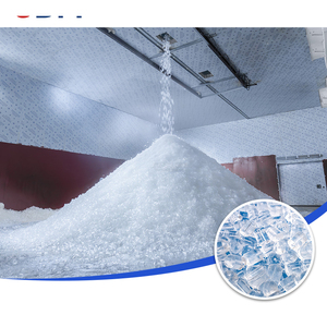 Machine à glace tubulaire industrielle Tv500 de 50 tonnes par 24 heures pour port de pêche, terminal, haute qualité, prix compétitif - Product Image 5