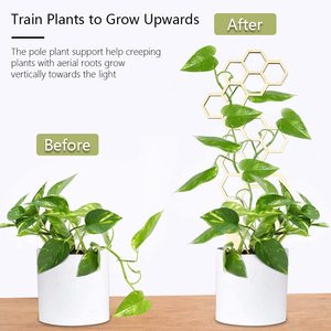 <span class=keywords><strong>Support</strong></span> de plante grimpante en <span class=keywords><strong>bois</strong></span> moderne de 30 cm, cadre créatif pour plantes grimpantes, <span class=keywords><strong>support</strong></span> de fleurs, <span class=keywords><strong>support</strong></span> de pot de jardin, poteaux de soutien fixes - Product Image 3