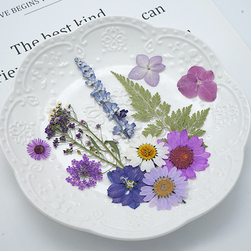 SJ204 Wholesale Real Flowers Crafts Photo