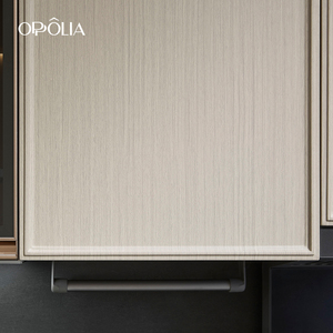 OPPOLIA E0 CE Armadietti Durevoli <span class=keywords><strong>con</strong></span> Vetrina, Design Personalizzato, Mobili da <span class=keywords><strong>Cucina</strong></span> <span class=keywords><strong>a</strong></span> Isola, Armadietto da <span class=keywords><strong>Cucina</strong></span> in Compensato e PVC - Product Image 3