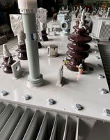 Transformateurs immergés dans l'huile Copper S22-M-800/10
