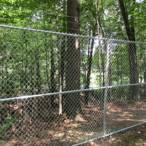 Hot-bán Chuỗi liên kết hàng rào 3.0 Mét mạ kẽm PVC tráng lưới CuộN Cyclone dây chuỗi-liên kết hàng rào chống gỉ CHAINLINK hàng rào - Product Image 2