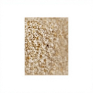 Venta al por mayor 1000 Kg Migas de pan italiano mediano Convencional 450 Bolsa grande para freír Embalaje a granel Producto italiano - Product Image 4