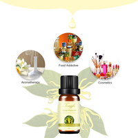 Diffuseur d'arôme et d'huile essentielle, 1 pièce, huile parfumée, ylang-ylang naturelle 100% Pure, offre spéciale