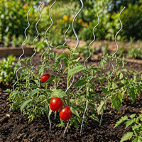 Colonnes de soutien pour plantes grimpantes, tiges spirales galvanisées, tuyaux en fer, supports spirales, poteaux de soutien pour tomates