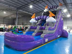 Commercial Renting Party Water <strong>Slide</strong> Inflatable <strong>Cheap</strong> Adult Inflatable Water <strong>Slide</strong> with <strong>Swimming</strong> <strong>Pool</strong> - Product Image 3
