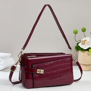 Bolso Bandolera Personalizado 2026 con Logotipo, Patrón de Cocodrilo, Correa Única, Cierre de Cremallera, Múltiples Bolsillos, para Mujer - Product Image 4