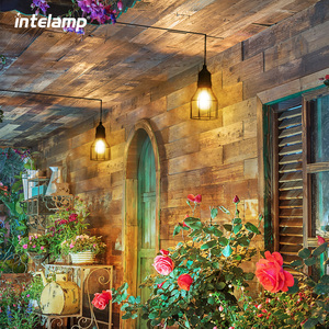 Intelamp Waterproof Metal Hanging Garden Lanterns <strong>Lights</strong> Bulb <strong>Cage</strong> Solar Garage Lamp Outdoor Pendant <strong>Light</strong> - Product Image 2