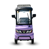 Voiturette de golf électrique Holladay 4 places 2000W pour parcs, stations balnéaires, communautés et sites touristiques, avec auvent, quadricycle électrique
