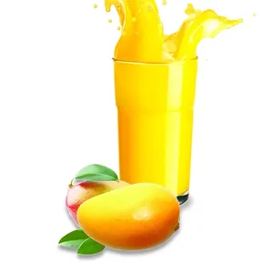 Linea di produzione di marmellata di mango con succo di mango piccolo 2T al giorno