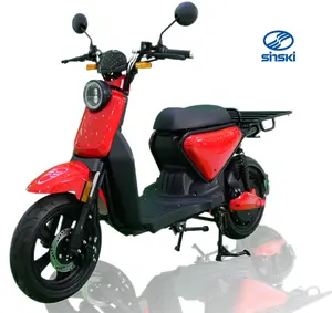 Chinesischer Lieferant Motorrad Elektro Beliebte Großhandels preis Elektromotor rad Roller Cool 2500W Angetriebene Elektro roller