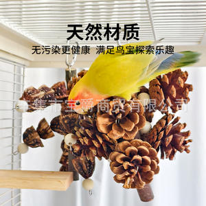 Новинка, игрушка-попугай, птица, товары для птиц, ананас и конопляная веревка, подвесные пряди, праздничные украшения для птичьей клетки - Product Image 2