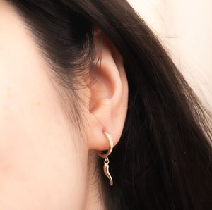 Nouveau design en acier inoxydable corne italienne boucles d'oreilles porte-bonheur <span class=keywords><strong>Cornicello</strong></span> & Cornetto Hoop or amulette boucles d'oreilles - Product Image 3
