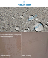 Imperméabilisant Mural Transparent Respirant Anti-Efflorescence à Base d'Émulsion Pénétrante WH6982