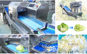 <span class=keywords><strong>Machine</strong></span> compacte de découpe et de lavage de légumes pour laitue, chou, oignon, courgette (hachage, émincissement, dés) avec fonction de nettoyage - Product Image 2