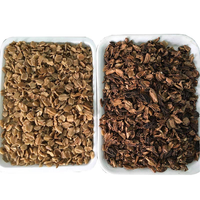 Trieuse de noix de type bande WENYAO WYB1, couleur noyer, pour la séparation des coquilles mélangées, des impuretés et des noyaux de noix de différentes qualités, machine de traitement des noyaux de noix