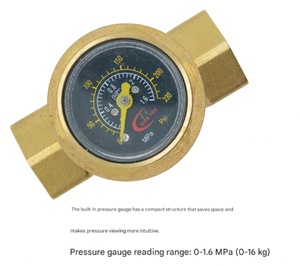 Vanne de régulation de <span class=keywords><strong>pression</strong></span> réglable pour <span class=keywords><strong>chauffe</strong></span>-<span class=keywords><strong>eau</strong></span> et purificateurs d'<span class=keywords><strong>eau</strong></span> domestiques - Product Image 2