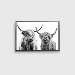 Highland Cow Canvas Print: <b>Black</b> & White Scottish Farmhouse Decor,GOLD <b>FRAMED</b> CANVAS - Product Image 2