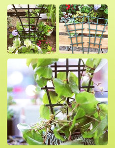 Support de plante en pot DIY en plastique, <span class=keywords><strong>treillis</strong></span> de jardin <span class=keywords><strong>pour</strong></span> mini-plantes <span class=keywords><strong>grimpantes</strong></span> et <span class=keywords><strong>fleurs</strong></span> - Product Image 6