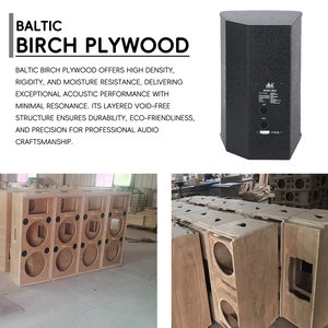 Système de haut-parleurs personnalisable 8 pouces 2 voies pleine gamme avec amplificateur, préamplificateur, effets, etc. – Équipement audio de studio pour KTV - Product Image 5