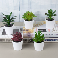 Mini plante succulente artificielle en pot, fleur en PVC givré, style pierre précieuse, bonsaï écologique et durable pour mariage, Noël, Nouvel An