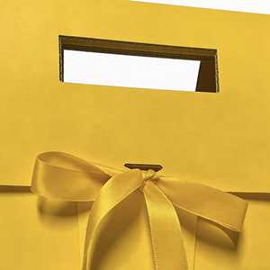 Bolsas de Regalo de Cartón de Lujo Hechas a Medida, Bolsas de Regalo Versátiles con Cinta para Ocasiones Festivas y Eventos Conmemorativos - Product Image 2