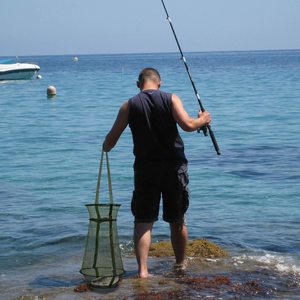 Filet de pêche pliable, cage <span class=keywords><strong>à</strong></span> poissons, filet de pêche pour garder les leurres, écrevisses, crabes - Product Image 2
