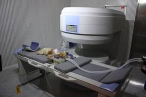 <span class=keywords><strong>Mri</strong></span>獣医用磁気共鳴画像装置,VET医療用画像機器 - Product Image 5
