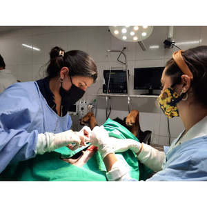 Produsen Monitor pasien dokter hewan Monitor 12 inci Harga terbaik 6 Parameter portabel Monitor pasien dokter hewan - Product Image 6