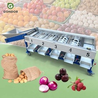 Droge avocado aardappel tomaat ui citrus fruit sorteermachine kiwi gewichtssorteer- en sorteerapparaat roller te koop en verpakking