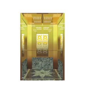 गर्म बिक्री elevatorse यात्री, टाइटेनियम लिफ्ट घरों यात्री इस्तेमाल किया